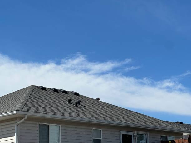Best Emergency Roof Repair Services  in Farmington, NM